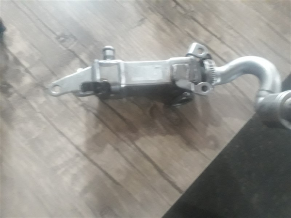 bmw egr valve 320 dizel